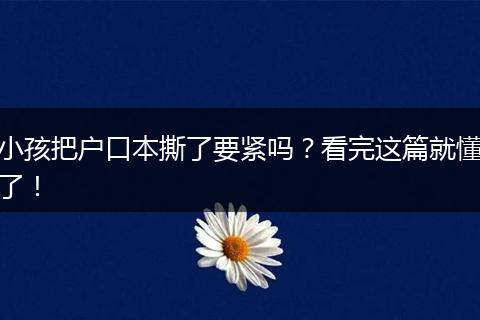 小孩把户口本撕了要紧吗？看完这篇就懂了！
