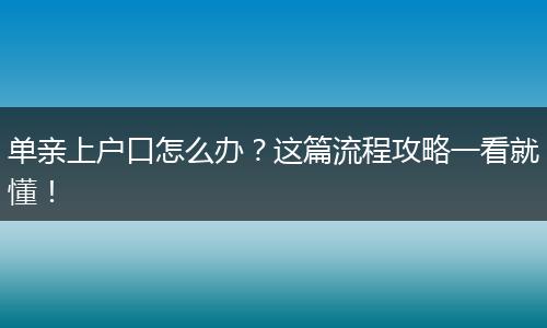 单亲上户口怎么办？这篇流程攻略一看就懂！