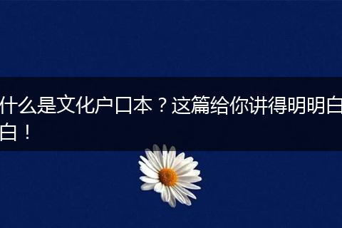 什么是文化户口本?这篇给你讲得明明白白!