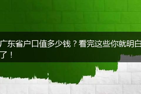 广东省户口值多少钱？看完这些你就明白了！