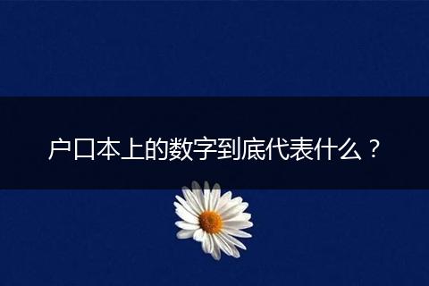 户口本上的数字到底代表什么？