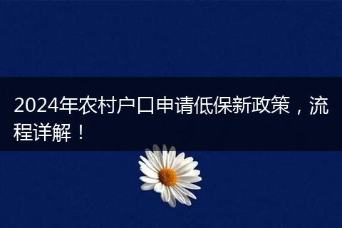 2024年农村户口申请低保新政策，流程详解！