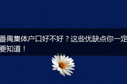 番禺集体户口好不好？这些优缺点你一定要知道！