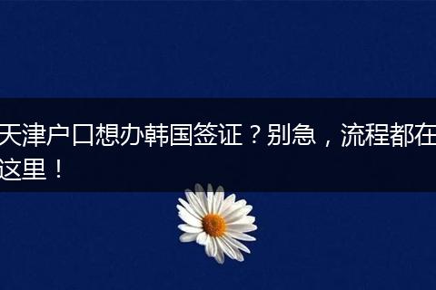 天津户口想办韩国签证？别急，流程都在这里！