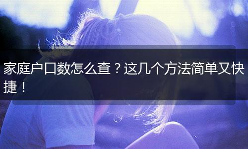家庭户口数怎么查？这几个方法简单又快捷！