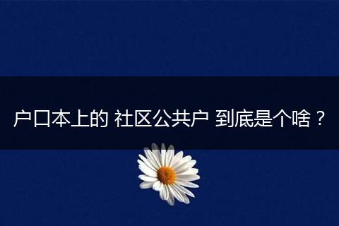 户口本上的 社区公共户 到底是个啥？
