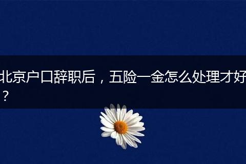 北京户口辞职后，五险一金怎么处理才好？