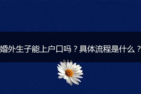 婚外生子能上户口吗？具体流程是什么？