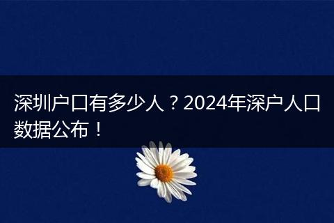 深圳户口有多少人？2024年深户人口数据公布！