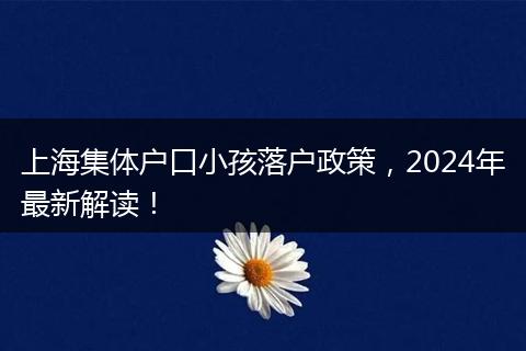 上海集体户口小孩落户政策，2024年最新解读！