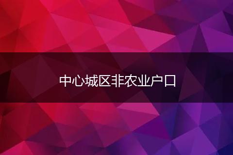 中心城区非农业户口