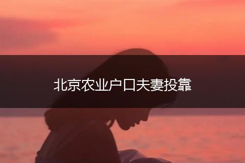 北京农业户口夫妻投靠