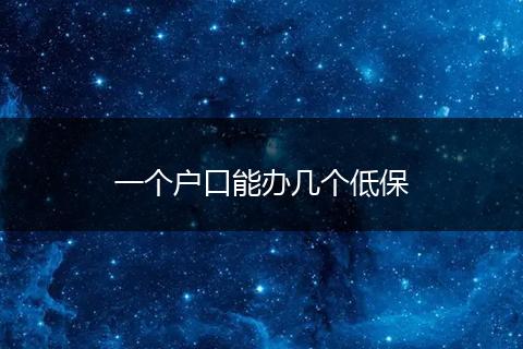 一个户口能办几个低保