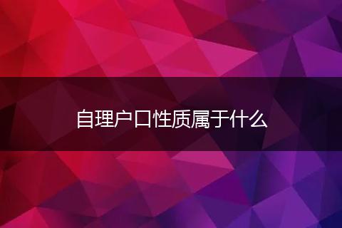 自理户口性质属于什么