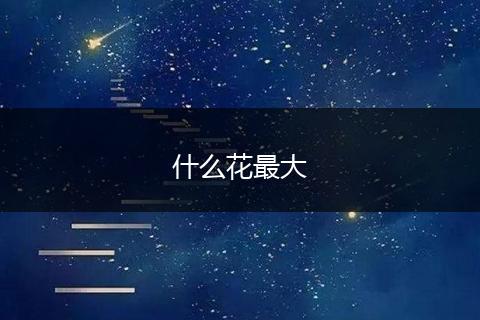 什么花最大