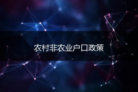 农村非农业户口政策