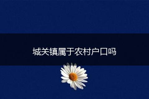 城关镇属于农村户口吗
