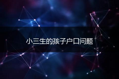 小三生的孩子户口问题