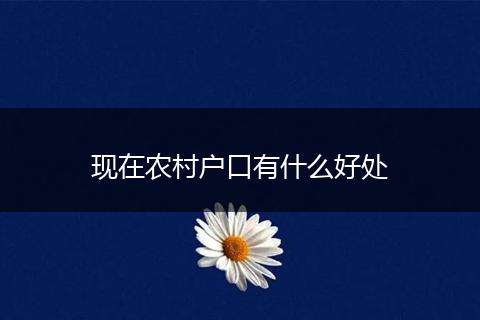现在农村户口有什么好处