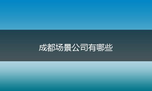 成都场景公司有哪些