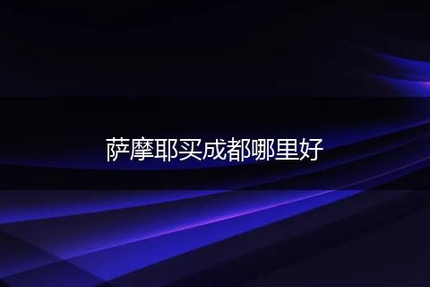 萨摩耶买成都哪里好