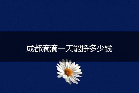 成都滴滴一天能挣多少钱