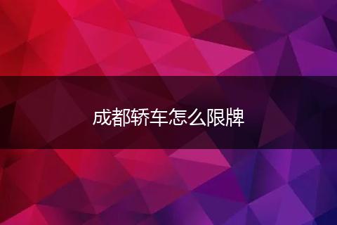 成都轿车怎么限牌