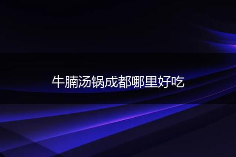 牛腩汤锅成都哪里好吃