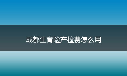 成都生育险产检费怎么用