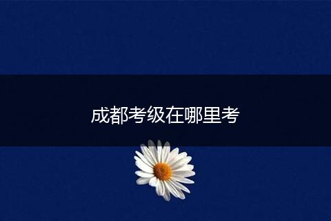 成都考级在哪里考