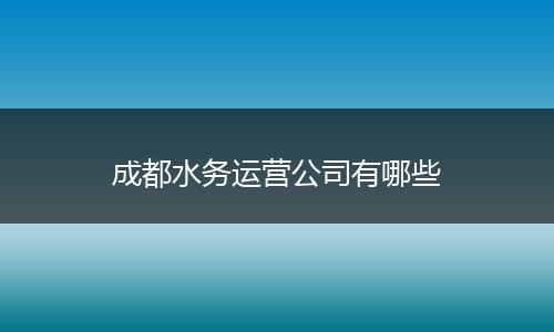 成都水务运营公司有哪些