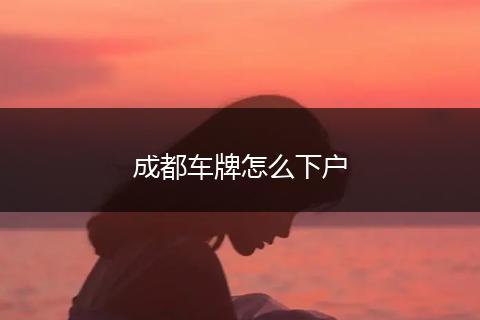 成都车牌怎么下户