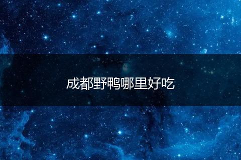 成都野鸭哪里好吃