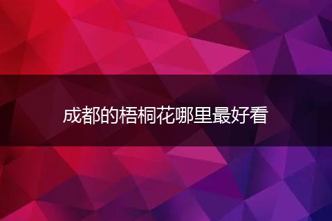 成都的梧桐花哪里最好看