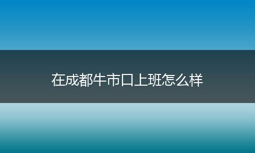 在成都牛市口上班怎么样