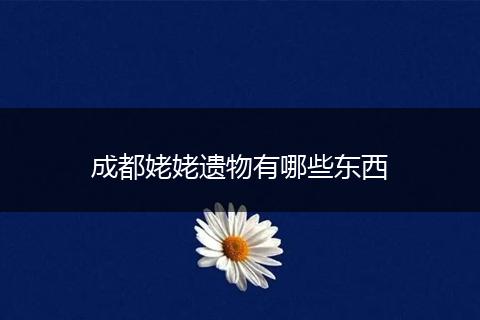 成都姥姥遗物有哪些东西