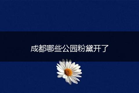 成都哪些公园粉黛开了