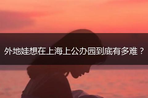 外地娃想在上海上公办园到底有多难？