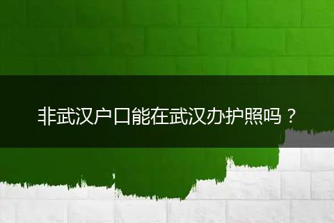 非武汉户口能在武汉办护照吗？