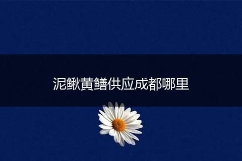 泥鳅黄鳝供应成都哪里