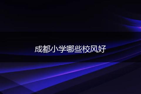 成都小学哪些校风好
