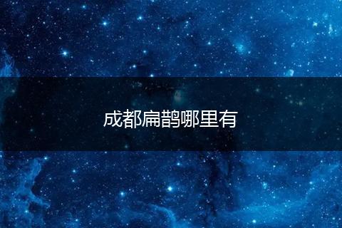 成都扁鹊哪里有