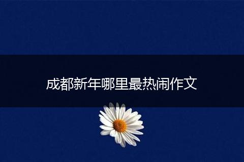 成都新年哪里最热闹作文