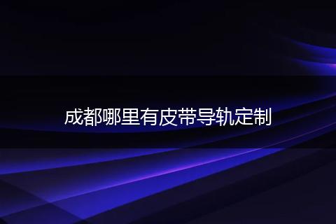 成都哪里有皮带导轨定制