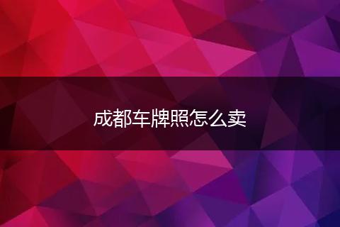 成都车牌照怎么卖