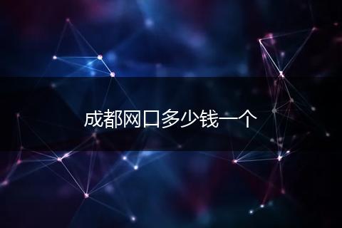 成都网口多少钱一个