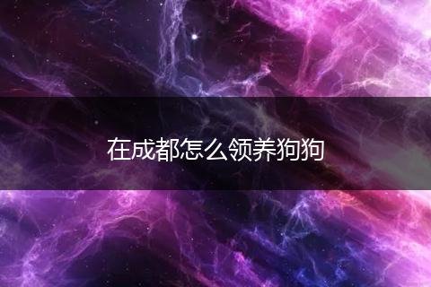 在成都怎么领养狗狗