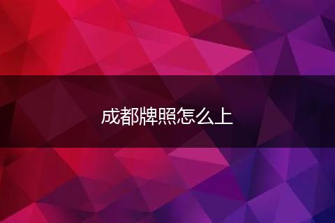 成都牌照怎么上