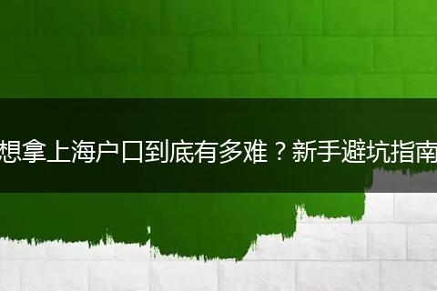 想拿上海户口到底有多难？新手避坑指南