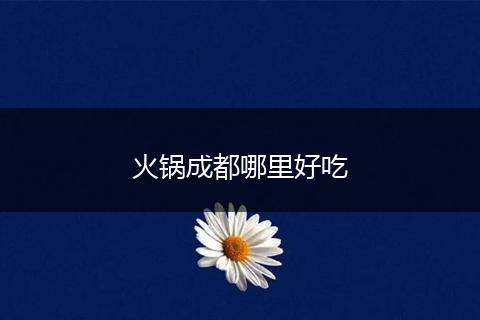 火锅成都哪里好吃